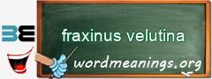 WordMeaning blackboard for fraxinus velutina